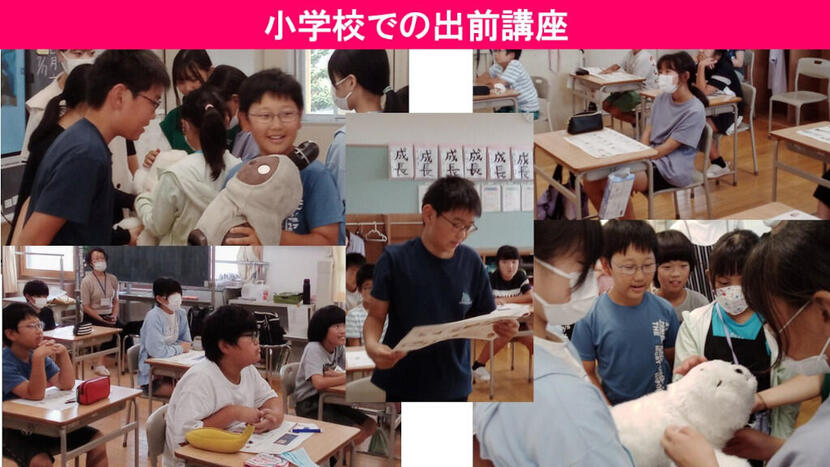 小学校での出前講座.jpg