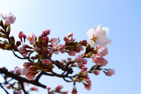 元気な子どもたちの声が響きわたるのも、もうすぐです！